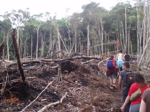 Teladan Prima, and TBI....So much for 'Green Day'