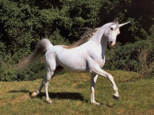 Nice unicorn but does it speak fluent Indonesian?